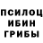 Псилоцибиновые грибы мицелий PECPECPEC BABOREIDUM