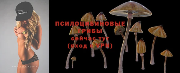 гашишное масло Пересвет